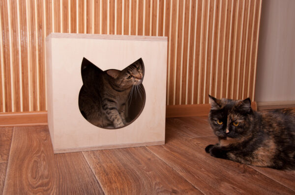 домик для кошек из фанеры