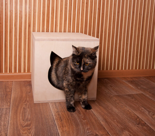 домик для кошки из фанеры